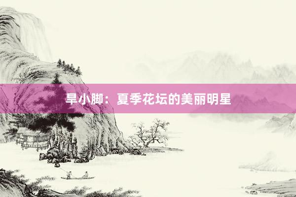 旱小脚：夏季花坛的美丽明星